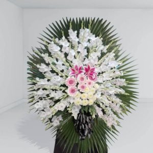تاج گل طبیعی - تاج گل رخشان