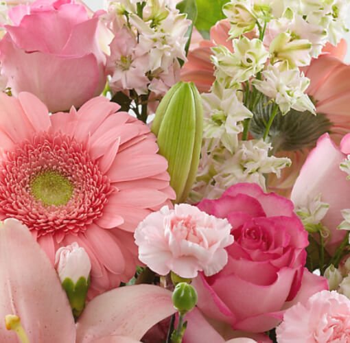 سرای گل | ارسال گل و هدیه به سراسر ایران | خرید اینترنتی گل و هدیه | سفارش آنلاین گل و هدیه