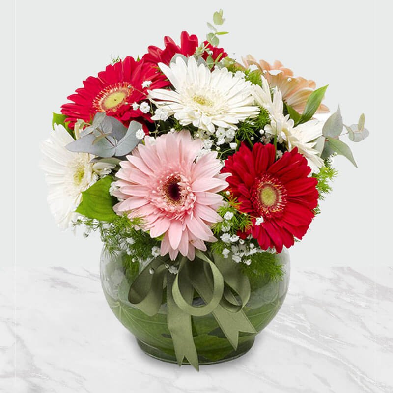 گلدان گل ژربرا | خرید گل ارزان | سفارش گلدان گل | ارسال گل انلاین| گل فروشی  سرای گل
