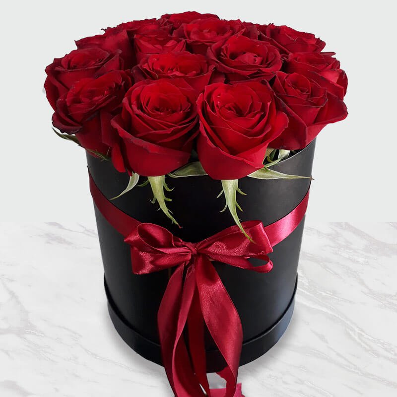 فکری ابکوغلو آیسلیم آرکیدیزلر