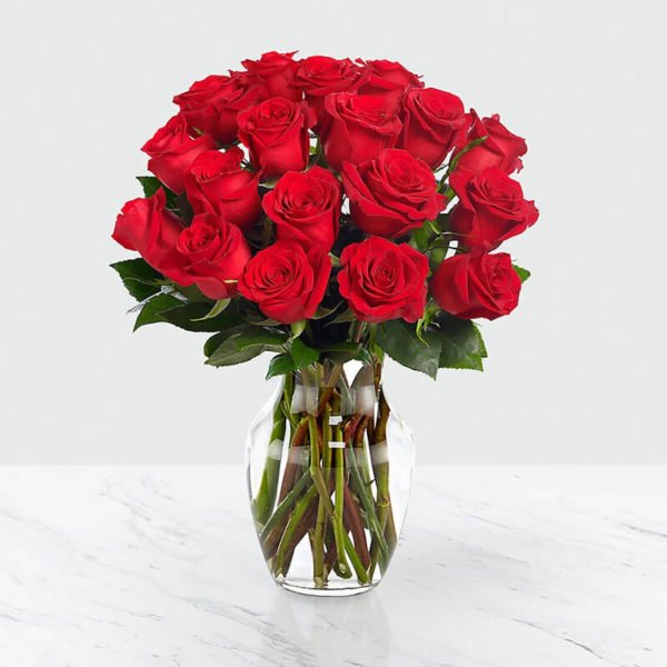 گلدان گل رز قرمز (آمریکا)