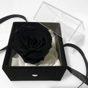 باکس مخمل رز جاودان سیاه