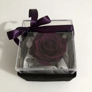 باکس مخمل مشکی رز جاودان بنفش
