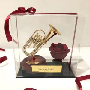 باکس پلکسی رز جاودان و شیپور موزیکال رقصان