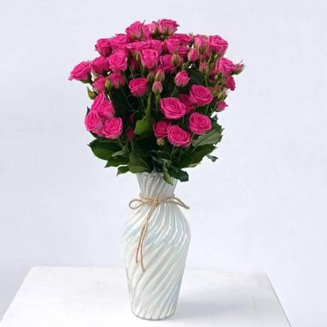 گلدان گل رز مینیاتوری (در چند رنگ) - تصویر 3