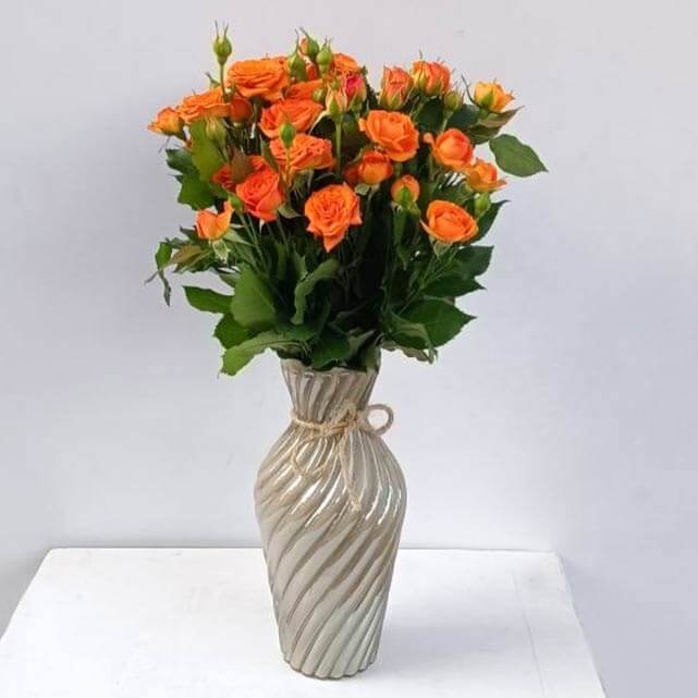 گلدان گل رز مینیاتوری (در چند رنگ)