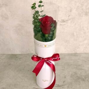 گل رز تک شاخه