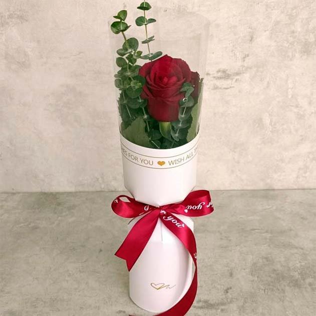 گل رز تک شاخه