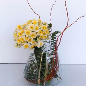 گلدان گل نرگس مینیاتوری