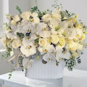 باکس گل ملودی